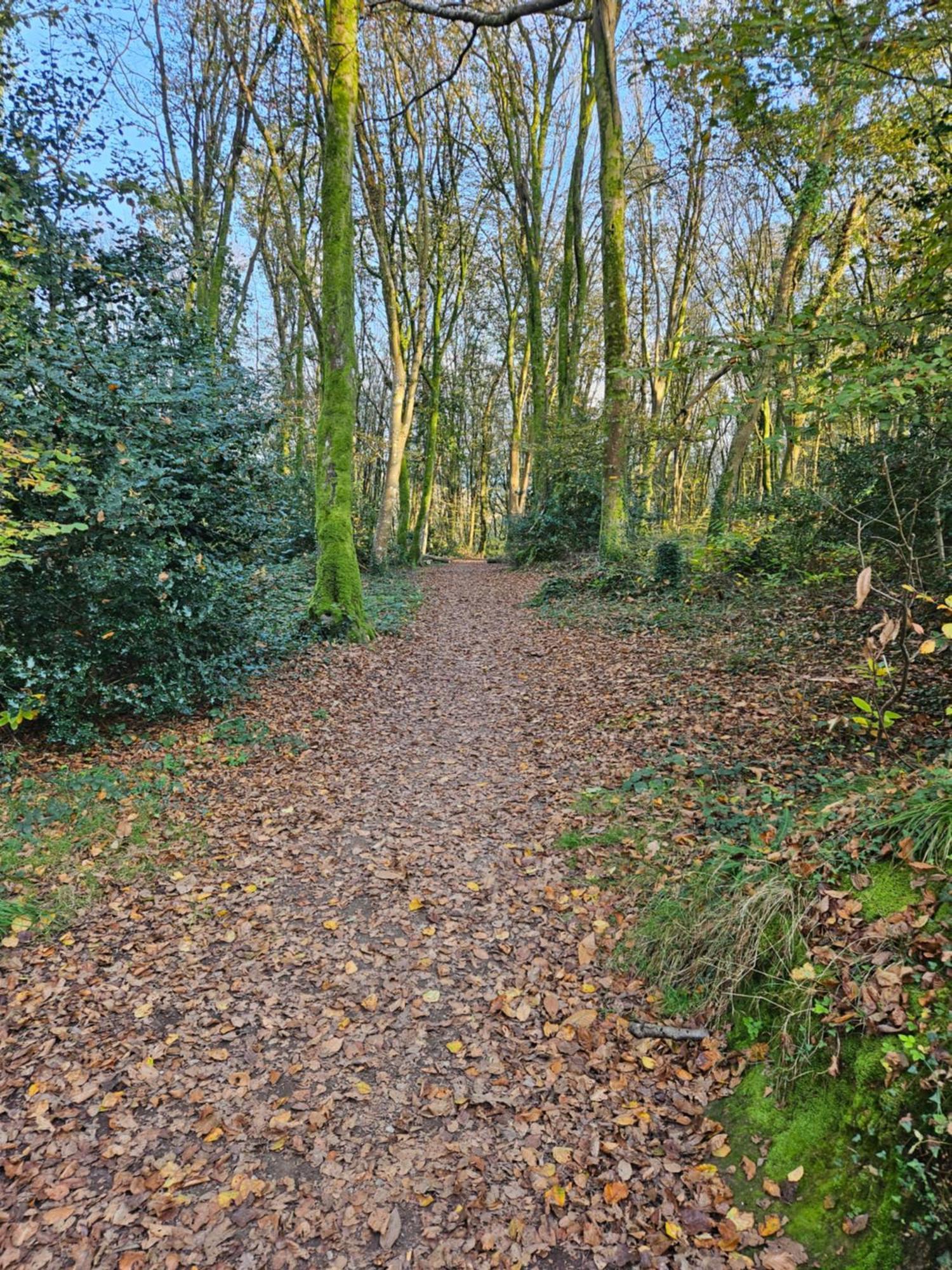 Apartmán A L'Escale Fleurie Guipavas Exteriér fotografie